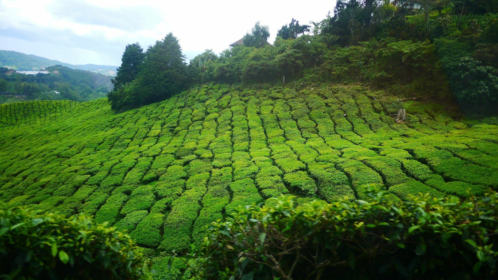 Zetter Suites @ Cameron Cameron Highlands Exterior photo